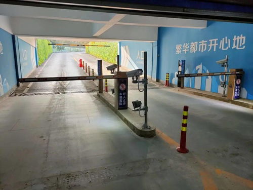 優質服務，智慧先行 武漢歡樂谷停車場數字化轉型實踐